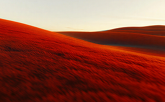 Your Marketplace Dreams, We Shape Them Into Seamless Digital Reality